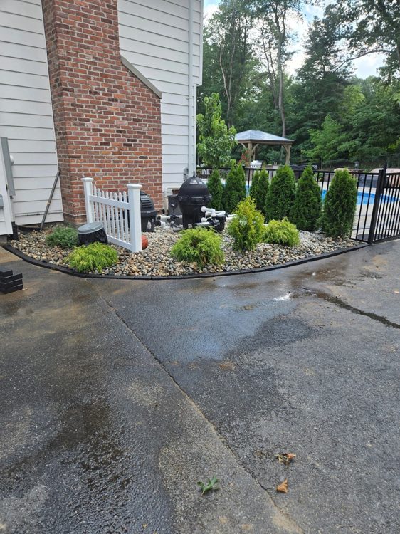 Evergreen planting and river stone