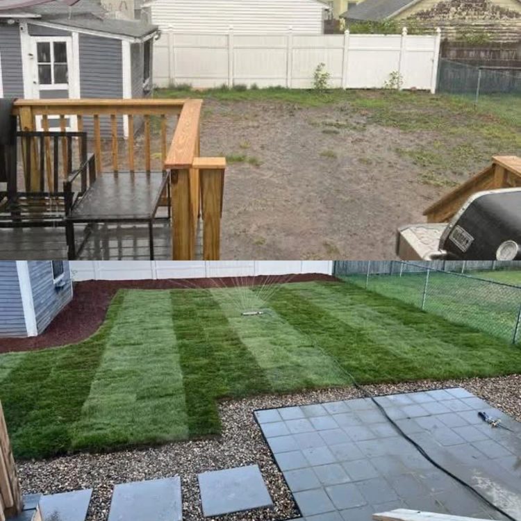 Lawn renovation before and after