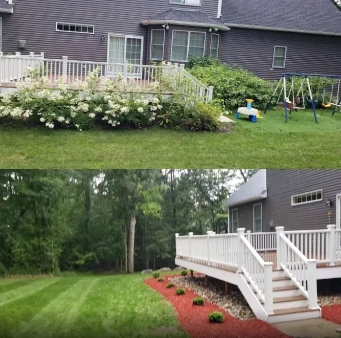 A refreshed backyard