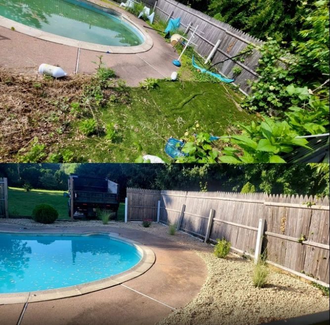 Poolside landscape transformation