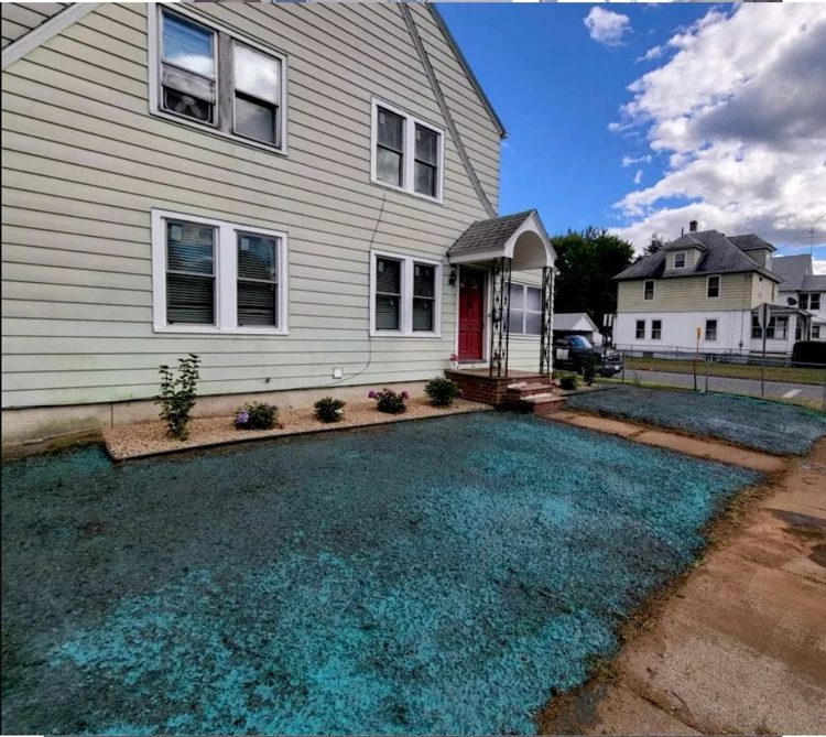 Preparing a new lawn