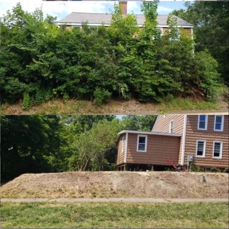 Property clearing before and after
