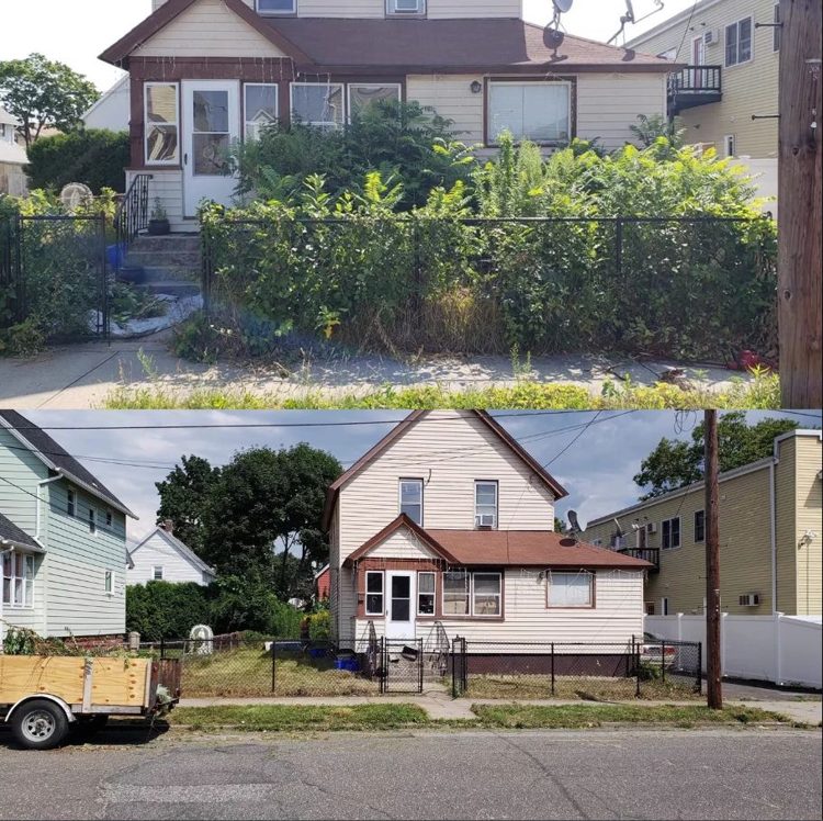 Clearing an overgrown property